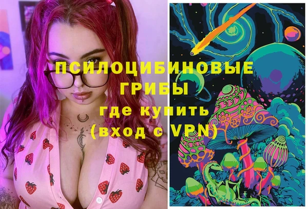 PSILOCYBIN Зеленодольск