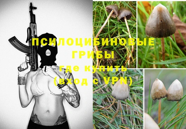PSILOCYBIN Зеленодольск
