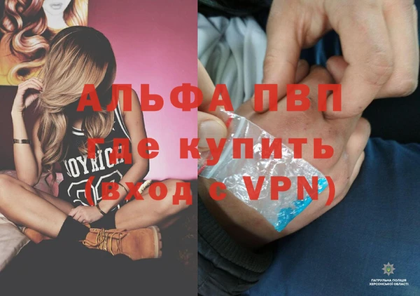 PSILOCYBIN Зеленодольск
