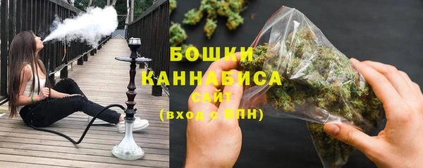 PSILOCYBIN Зеленодольск