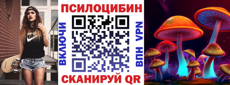 Псилоцибиновые грибы Psilocybe  Купить  Тулун 
